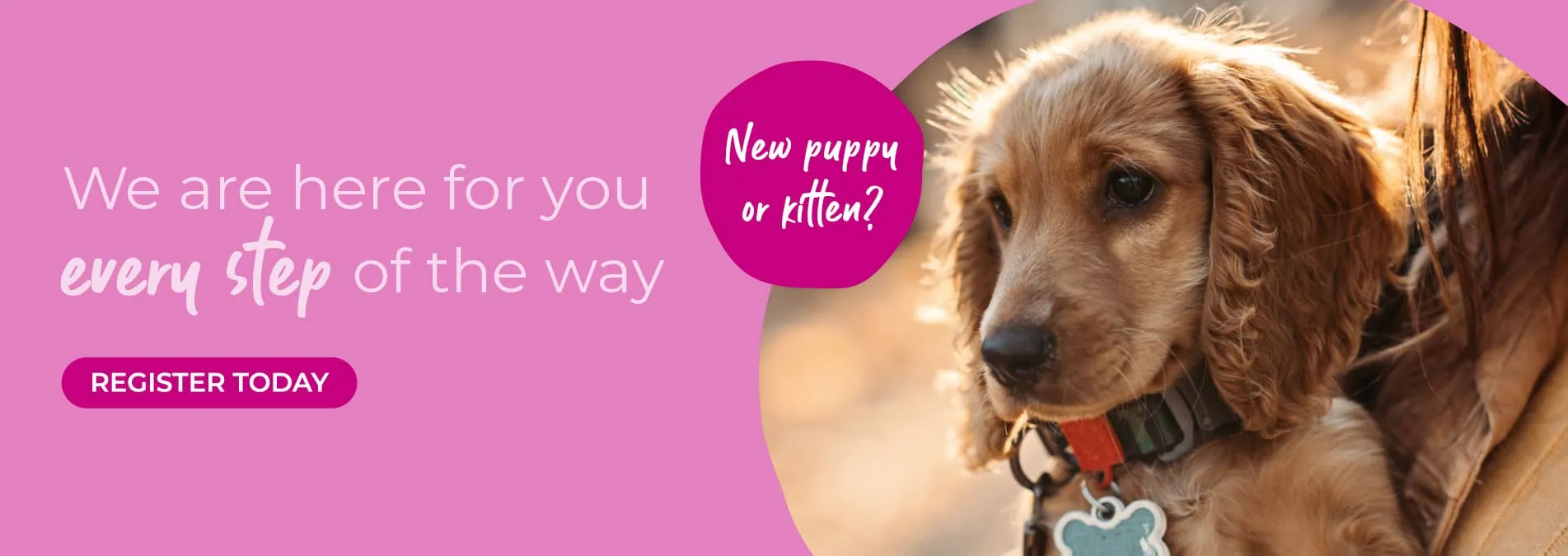 St Clair Veterinary Group – animal hospital in Kirkcaldy, Fife