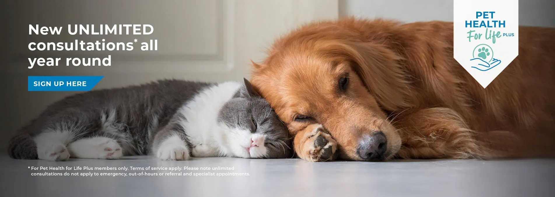 St Clair Veterinary Group | Trusted Vets in Fife