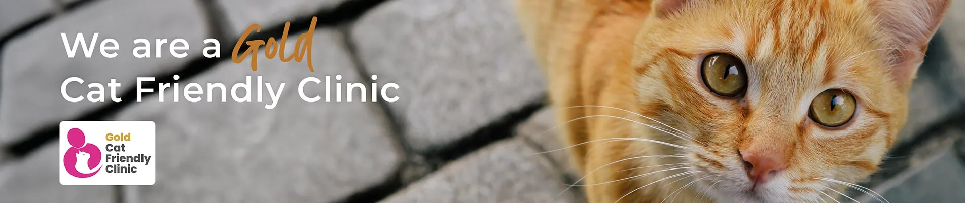 Cat Friendly Clinic