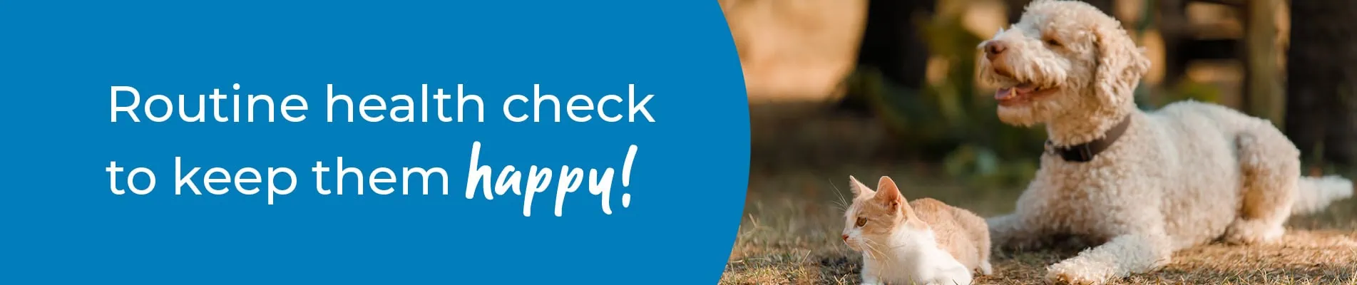 Pet Health Check in Fife | Preventative Vet Care