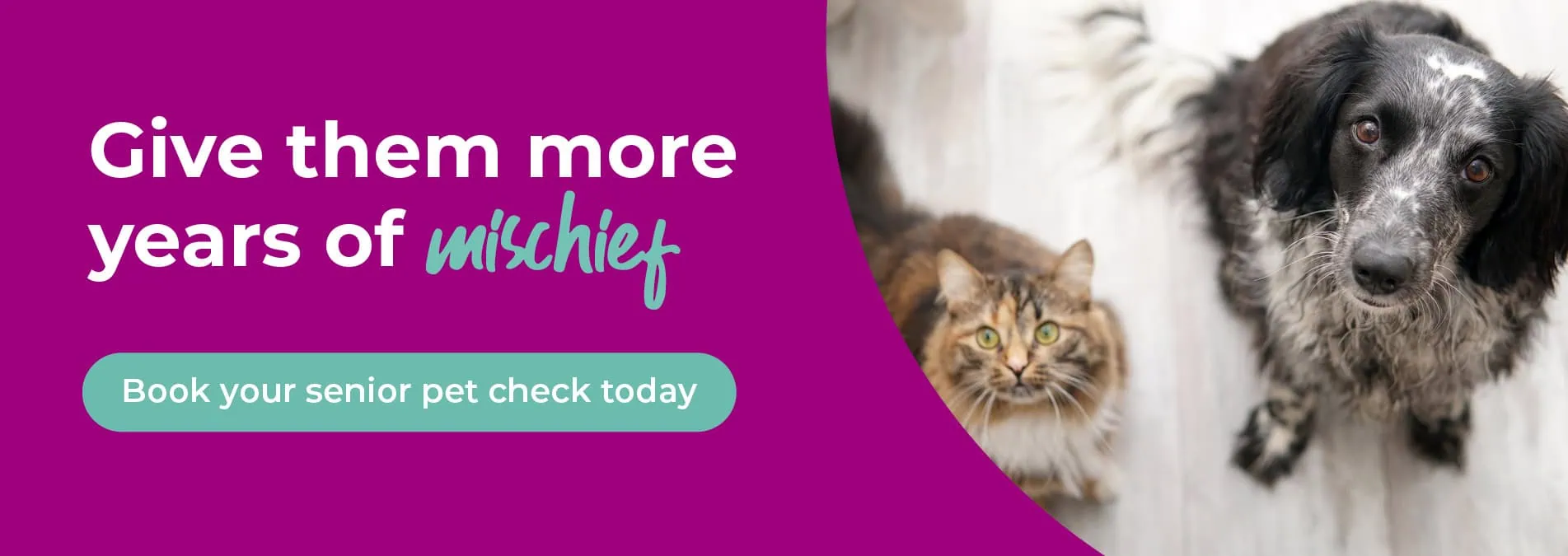 St Clair Veterinary Group – animal hospital in Kirkcaldy, Fife