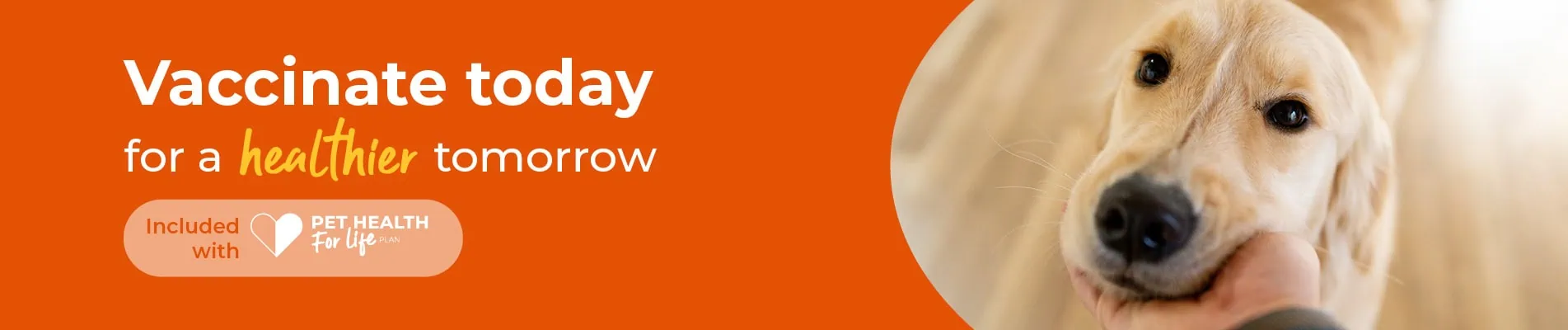 Vaccinations for Dogs